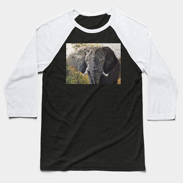 Elephant Baseball T-Shirt by Blasco